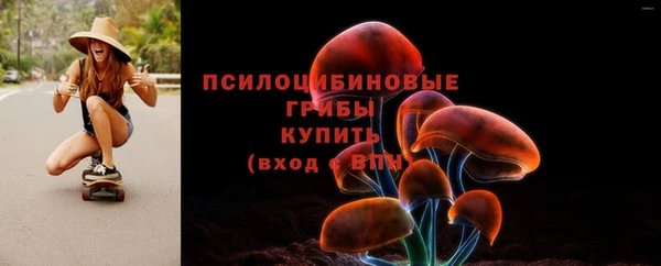 прущие грибы Алексин