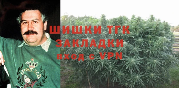прущие грибы Алексин