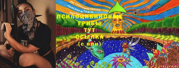 прущие грибы Алексин