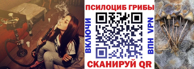 цены   Туринск  KRAKEN маркетплейс  Галлюциногенные грибы мухоморы 
